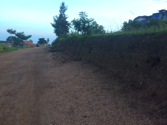 231F506C-28CB-48EB-847D-1B79B980B602