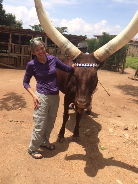 CF59912C-EAD1-4A1B-AD2C-9A581DB8273F