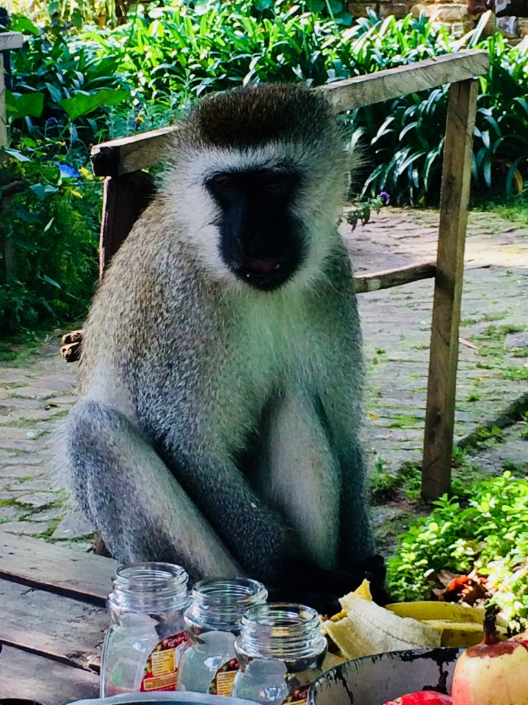 B629C0C9-7243-4139-A9DD-5D663F4C6409