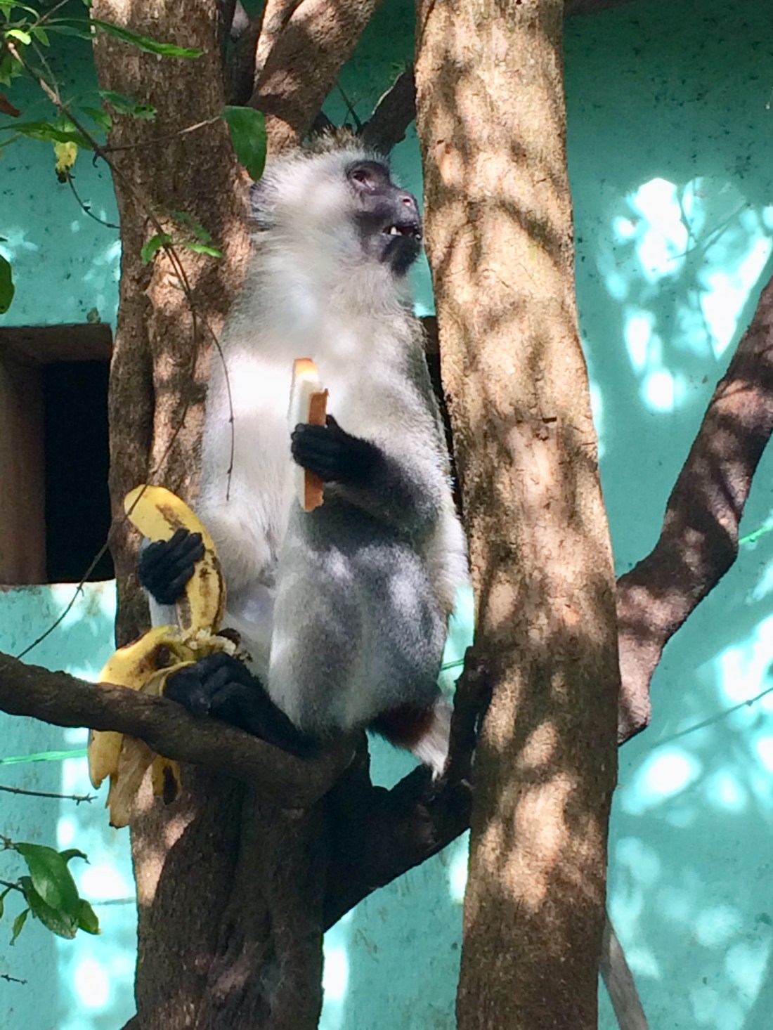 D874A0C3-7C17-41C1-AEDE-3FAEADBB7A70