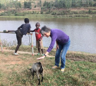 3B25F440-CE3C-4AAB-9B6D-686745140E21