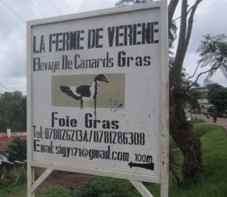 7FC7420E-EDAA-4D55-9F71-F7B999E51E69