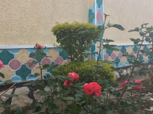 AA910738-B197-4A49-880B-B5BD247EF4A8