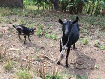 DAEA4754-C45D-45D1-9226-934586C85B2F