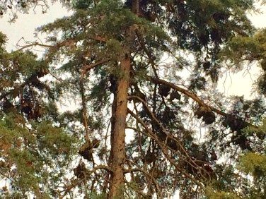 0C279D1D-6F24-4EA3-8DDD-44A4C8933F69