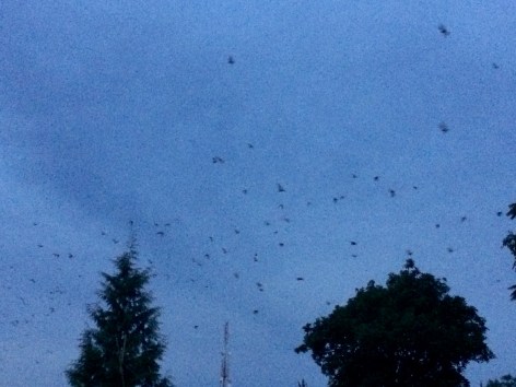 7A514FC3-6A93-4A60-8076-748F23447E7E