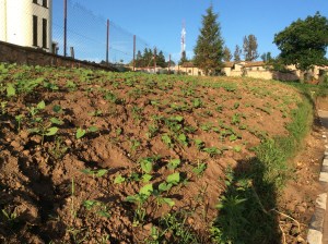 8AAC6427-5243-49A8-B93F-3A116F0C41EE