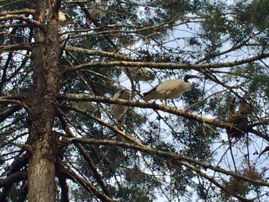 B0A5F136-B03C-4233-88DA-97212B51A58B