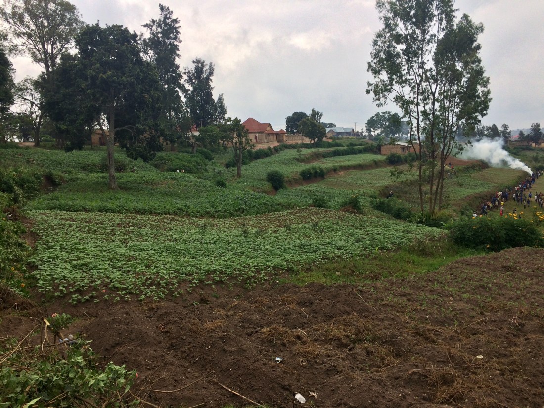 B179C62E-D1D2-4F6B-9D20-3EBB7A7BBA92