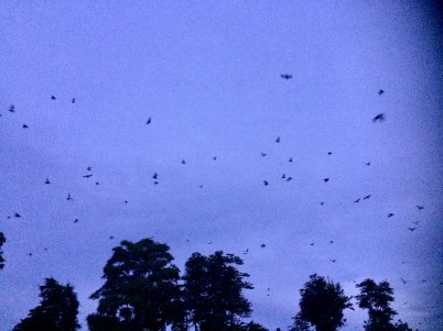 E66FF5B6-5352-4BCD-B306-9694627AE779