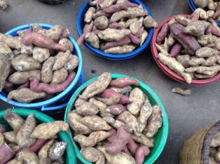 9D251094-E1AB-4A45-9806-D7877CED7FE7