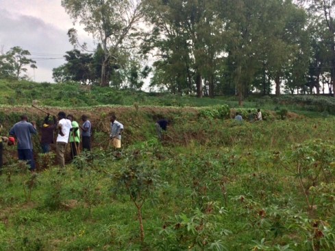 F42AB279-541C-4F5D-AA04-A1A0311BF53A