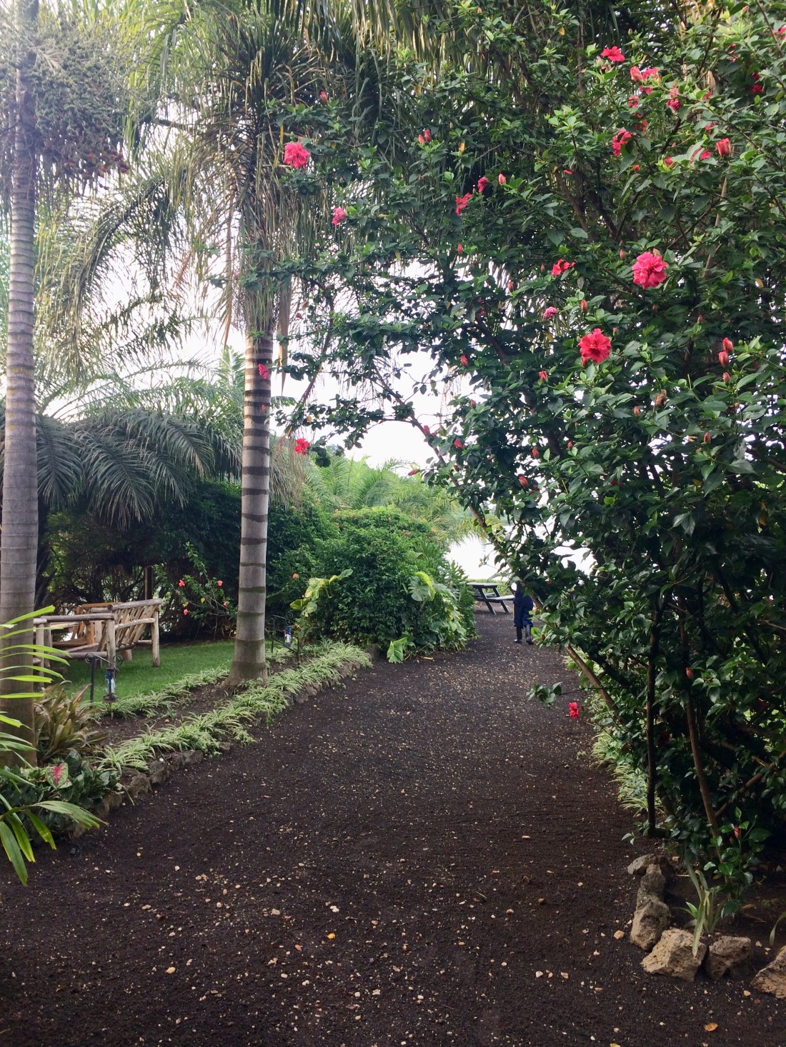 7807f4b1-eadc-42c3-9941-cd0d3a1528ce