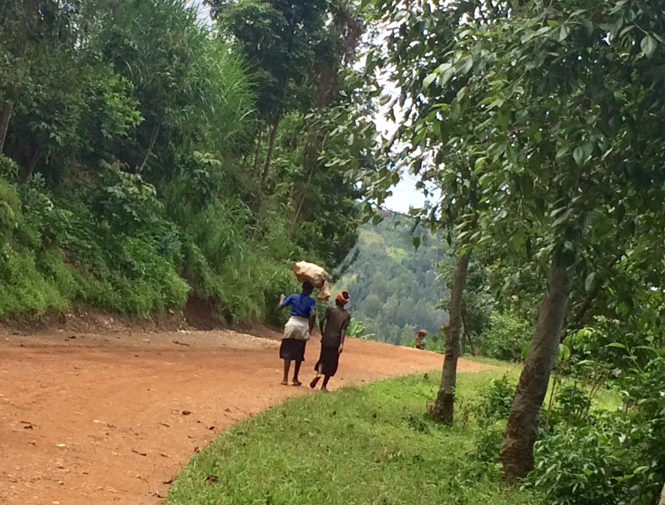 7e722472-ad5f-456c-aed7-b36ffd74cf21