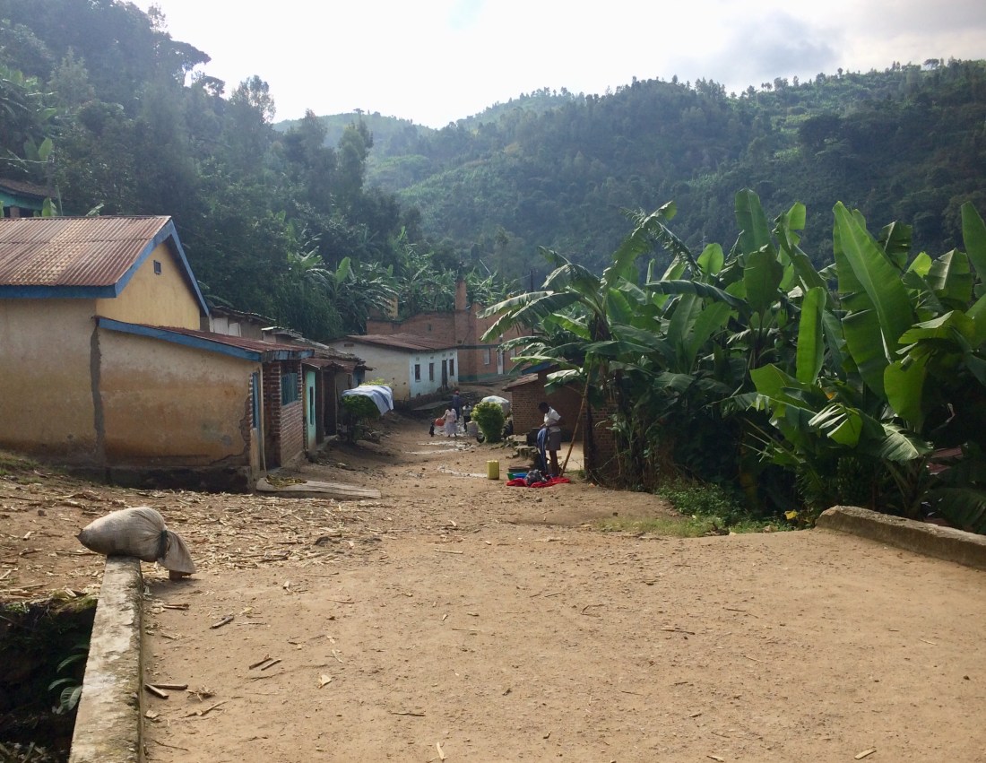 1878728E-2C21-4EB8-B3B3-CC9E31371C23