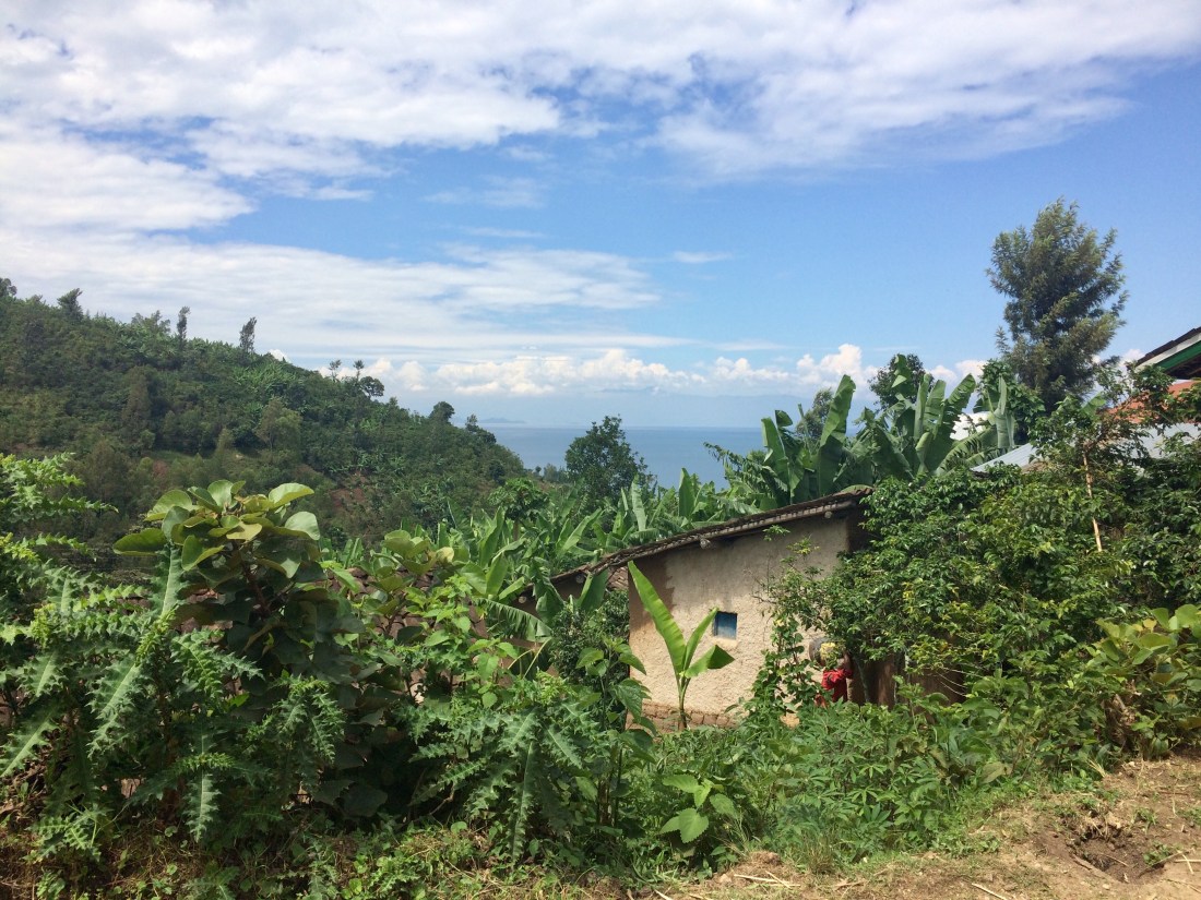 CFE796AC-EBBA-496C-B01E-50C01DC60163