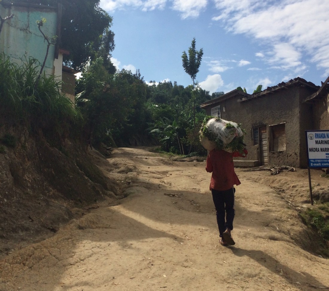 D71DC095-57EF-4455-96F0-960DBCF58CF8