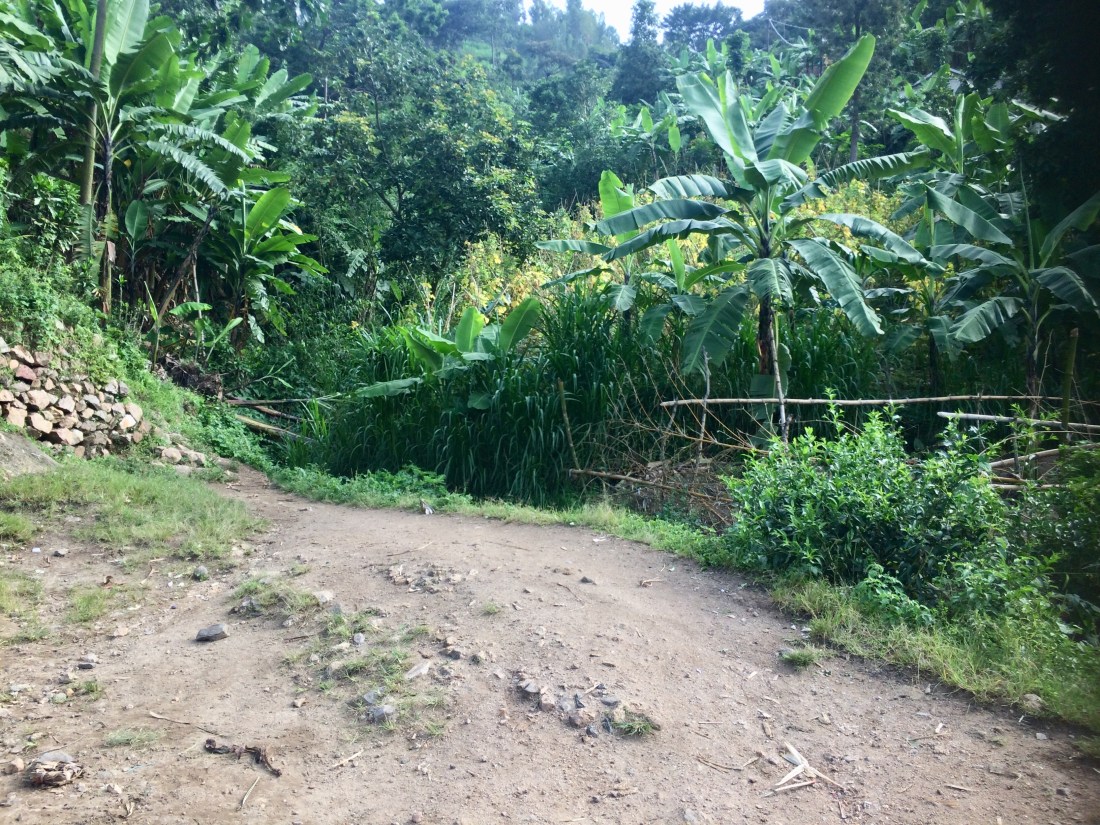 F9F7B39E-F4C0-4D3C-A737-399B4D7522AE