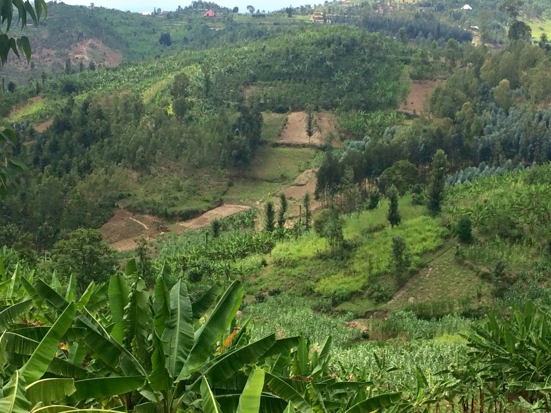 12280AB0-8463-4181-BDB5-778806811526