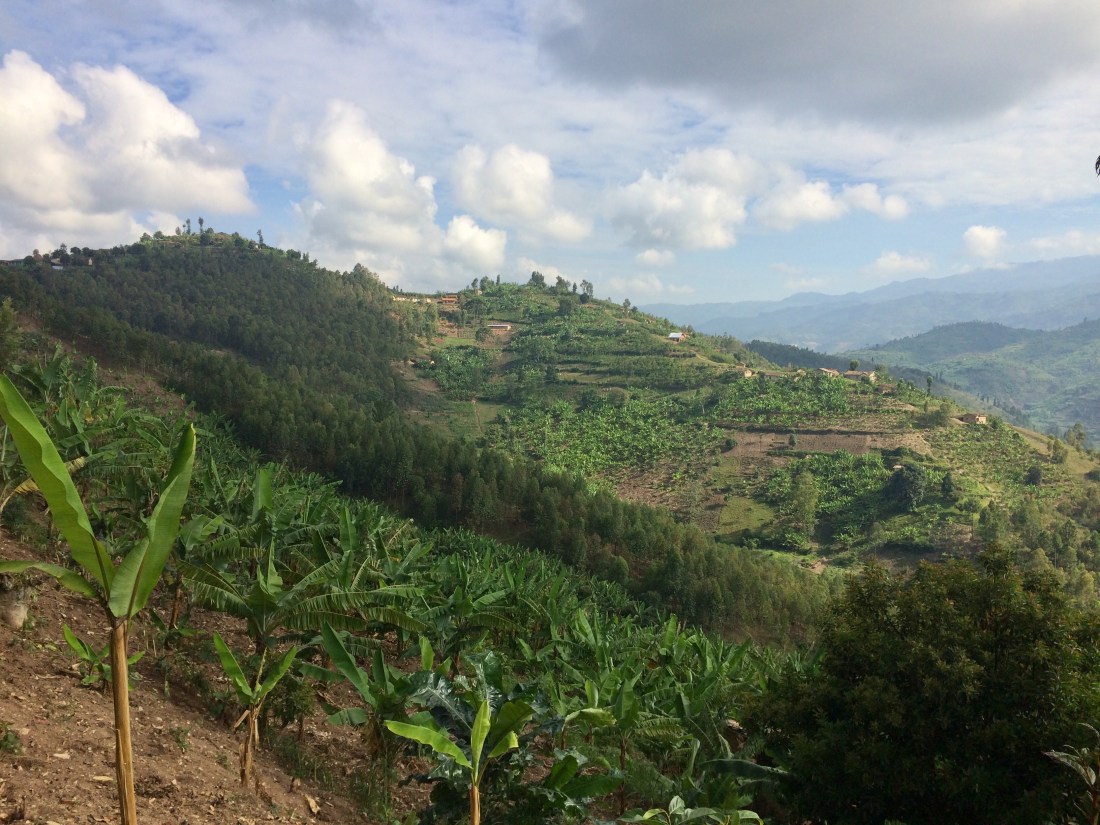 148AAF70-BFBA-431E-811C-5ED3A9A033D3