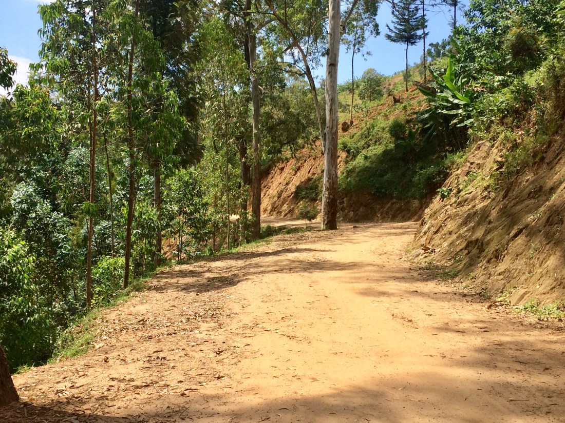 2045C450-2CBF-4AF6-9F98-FE430D1DF918