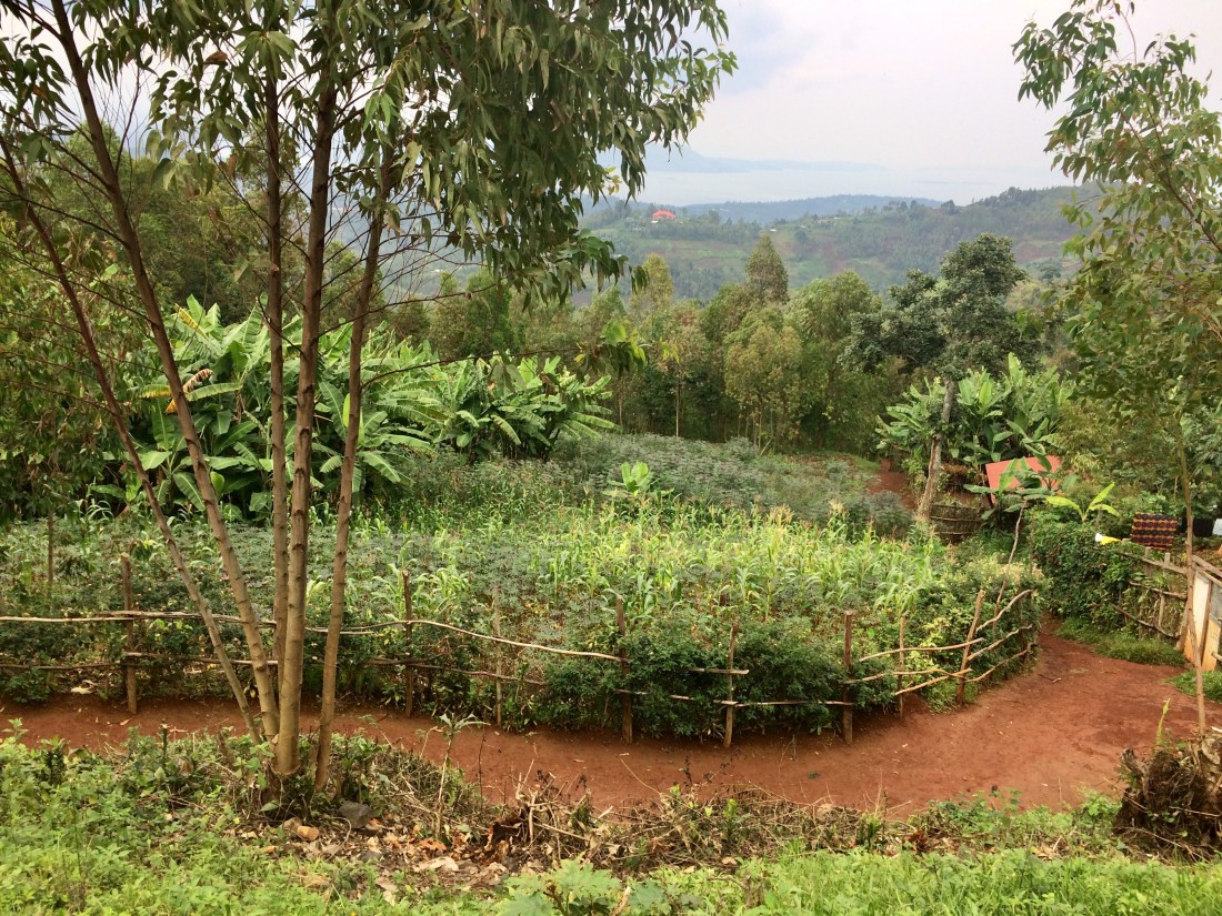 2EA16C73-23DB-4A5D-9F60-B7E817208BDD