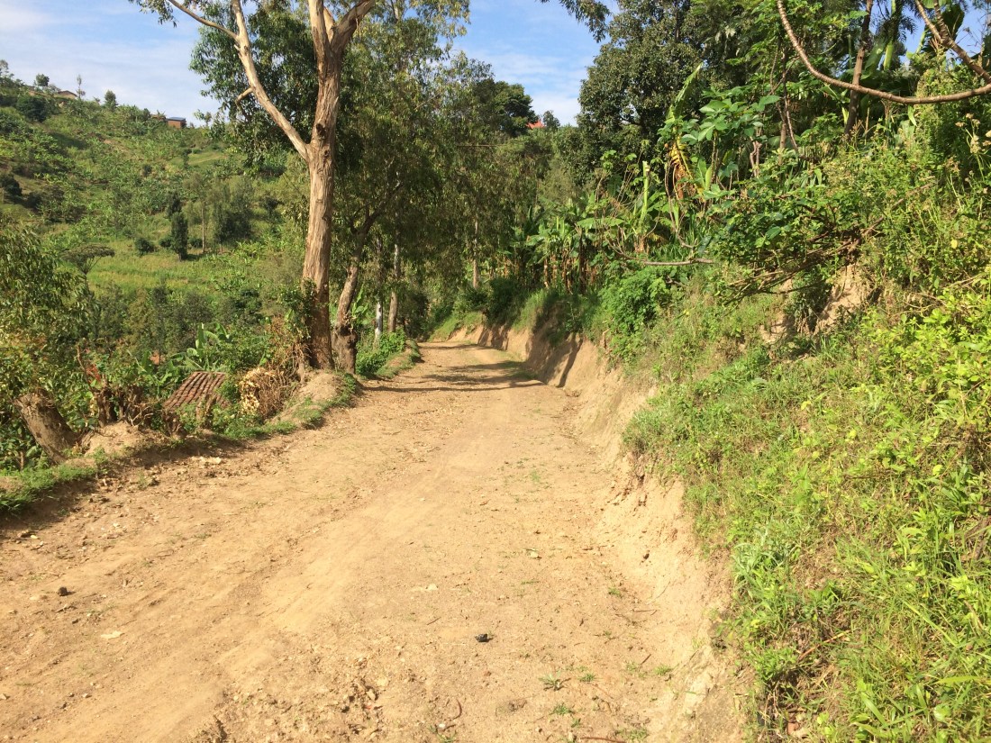 4B3E5221-9A06-42C3-B5B9-0D0A9CEE9B3E