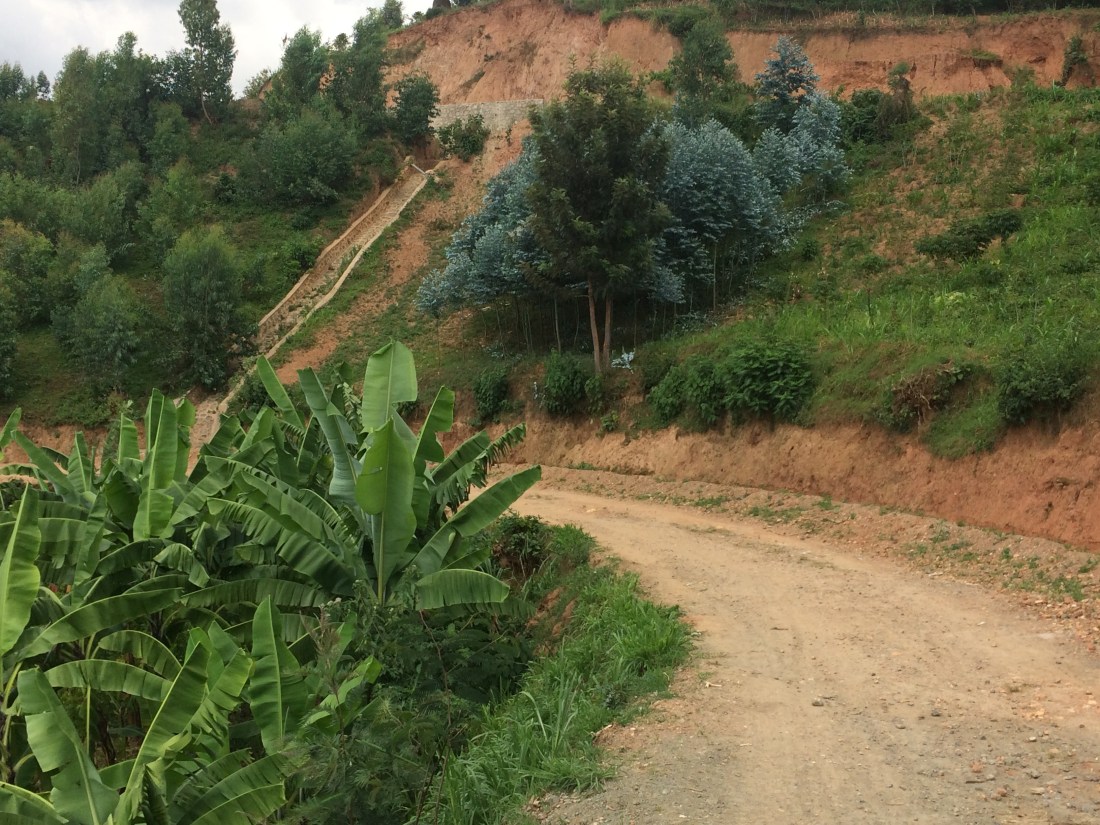 58150ECD-963D-496A-92C3-8AFC16776084