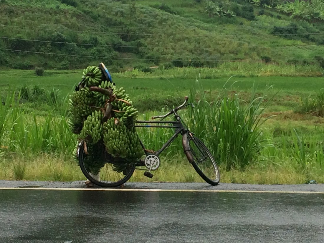 6A42E84C-06EA-4405-A544-58CA16FEE130