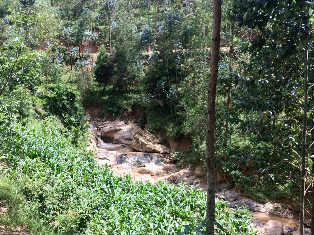 7264A1F7-B71D-4507-BF5B-25D7B5334367