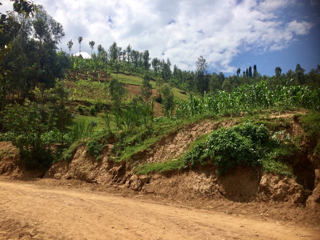 7A41E71D-6AEA-40EC-BB57-D9E44B6A89B1