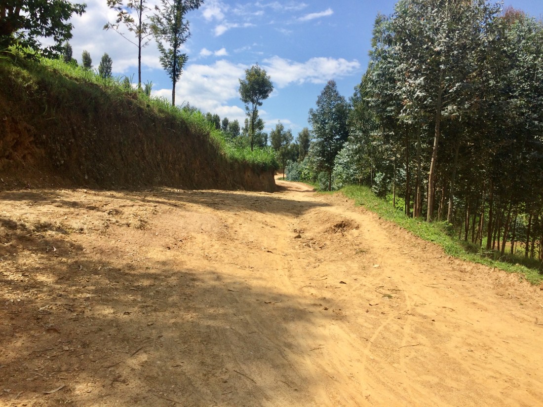 7D0AD41B-1165-4402-8863-5FF5B3AF5324