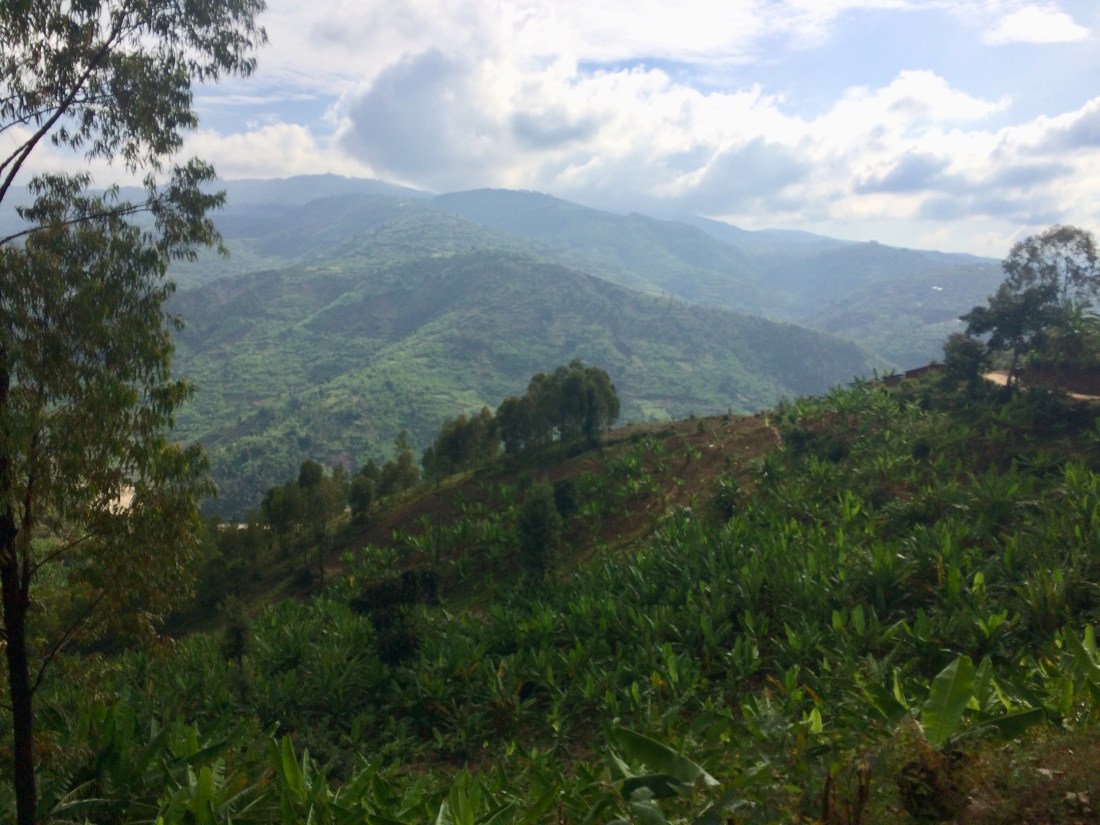 88645C00-2BDF-48FF-9B85-29392B02828B