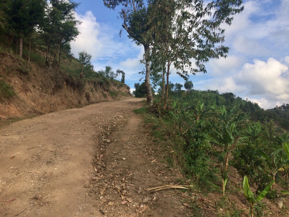 99B830DC-E81C-44A1-A3F2-8147D491268B