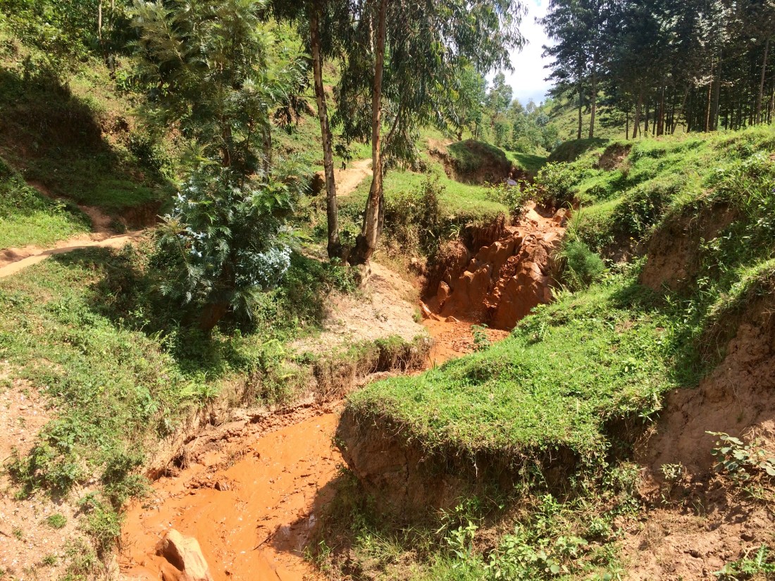 9F7D0B12-59F3-44AE-BF3E-B094370CDAAD