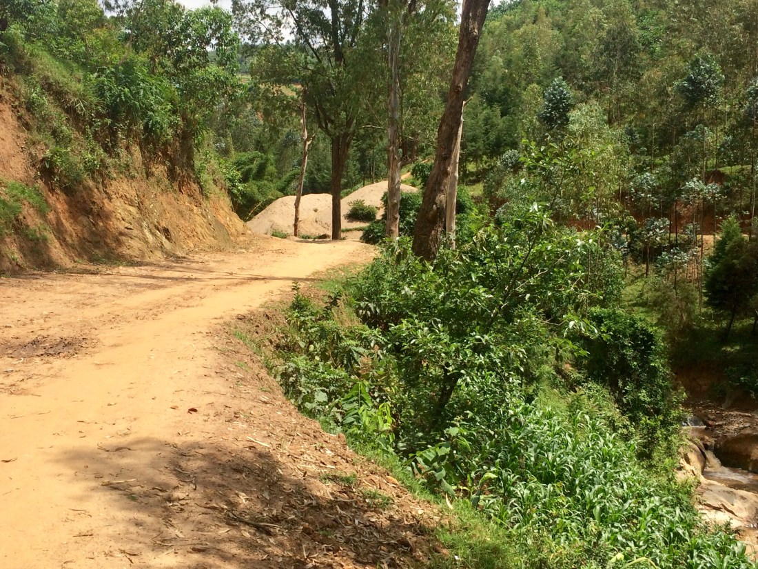 B46048F0-2FD4-4E48-9F39-5B6B62139BA2