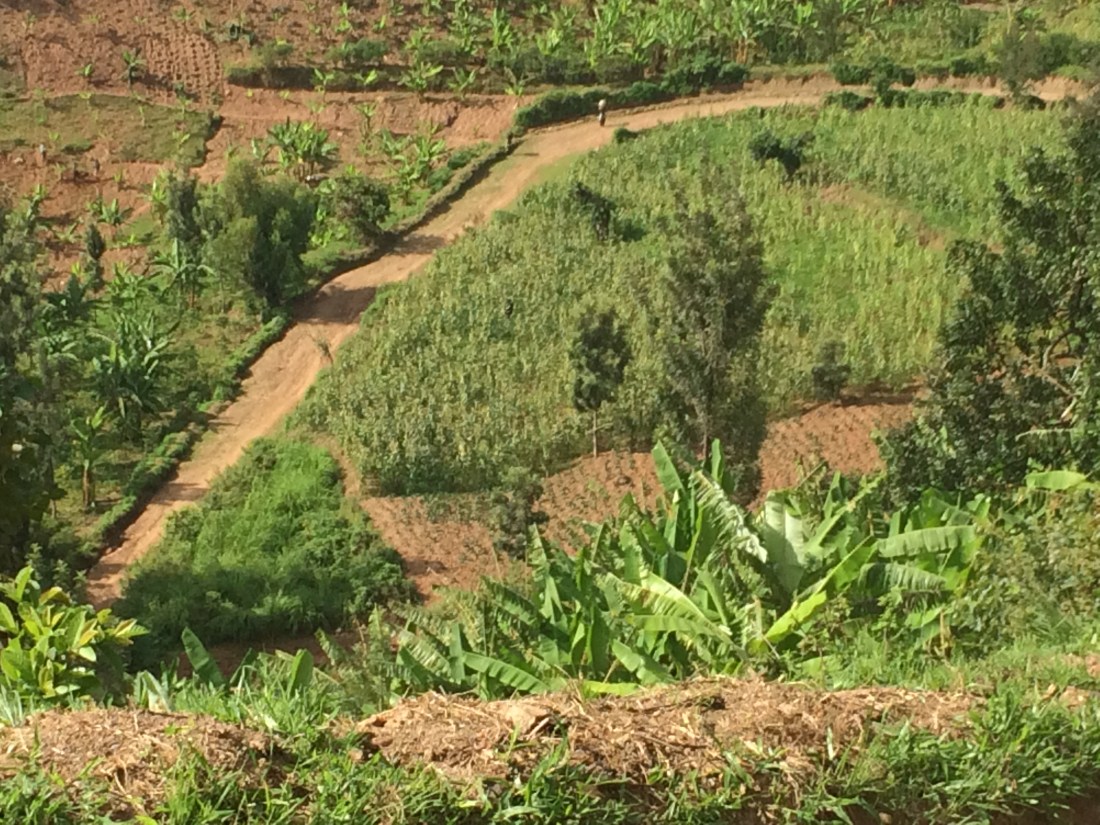 B5C0CEB4-C789-4A1F-B3C0-4ADE5A5006D5