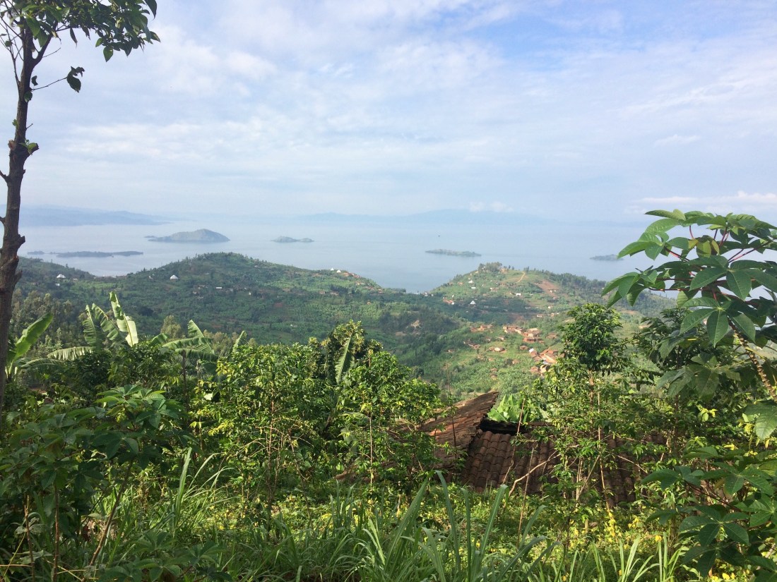 B9B8A3FB-EE02-4B78-B6AA-E6F9752FED68