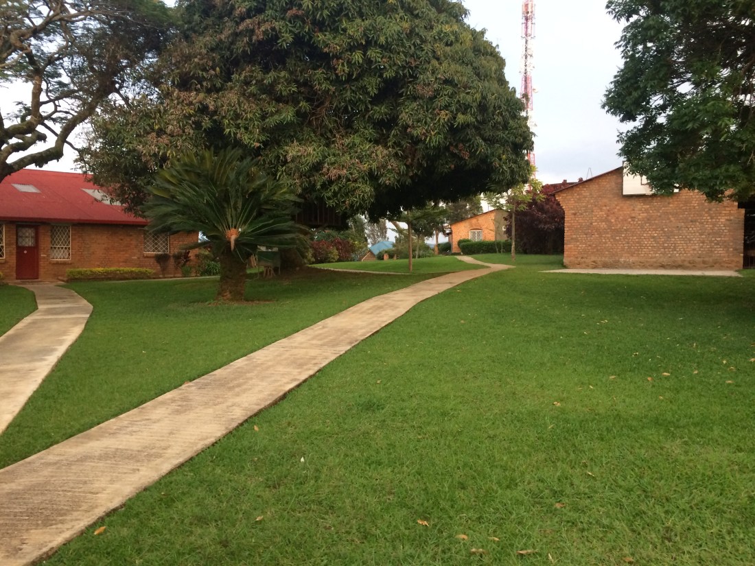 BB1878E0-754B-4198-8174-A4D8A08B9CA9