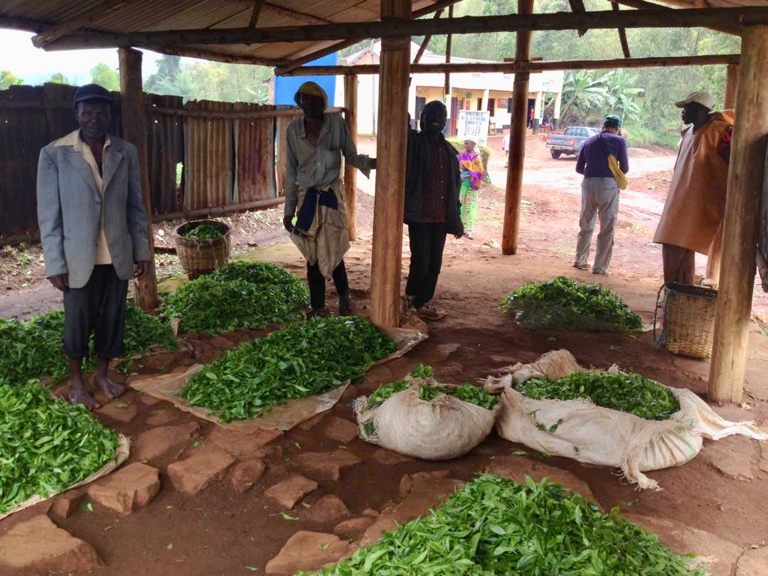 BE4A5F70-097D-48F7-91C7-58E8DF216B4A