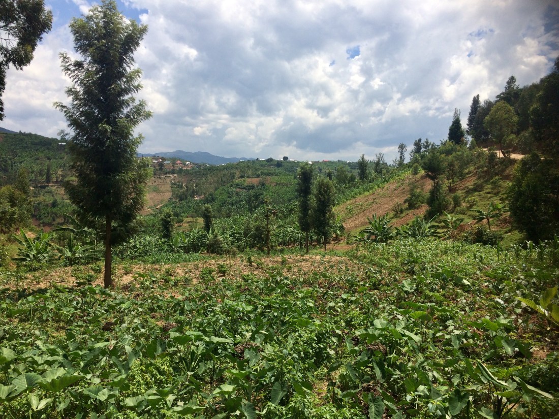 C3CEAEBB-265A-4C0C-8848-FDEBD54751C6