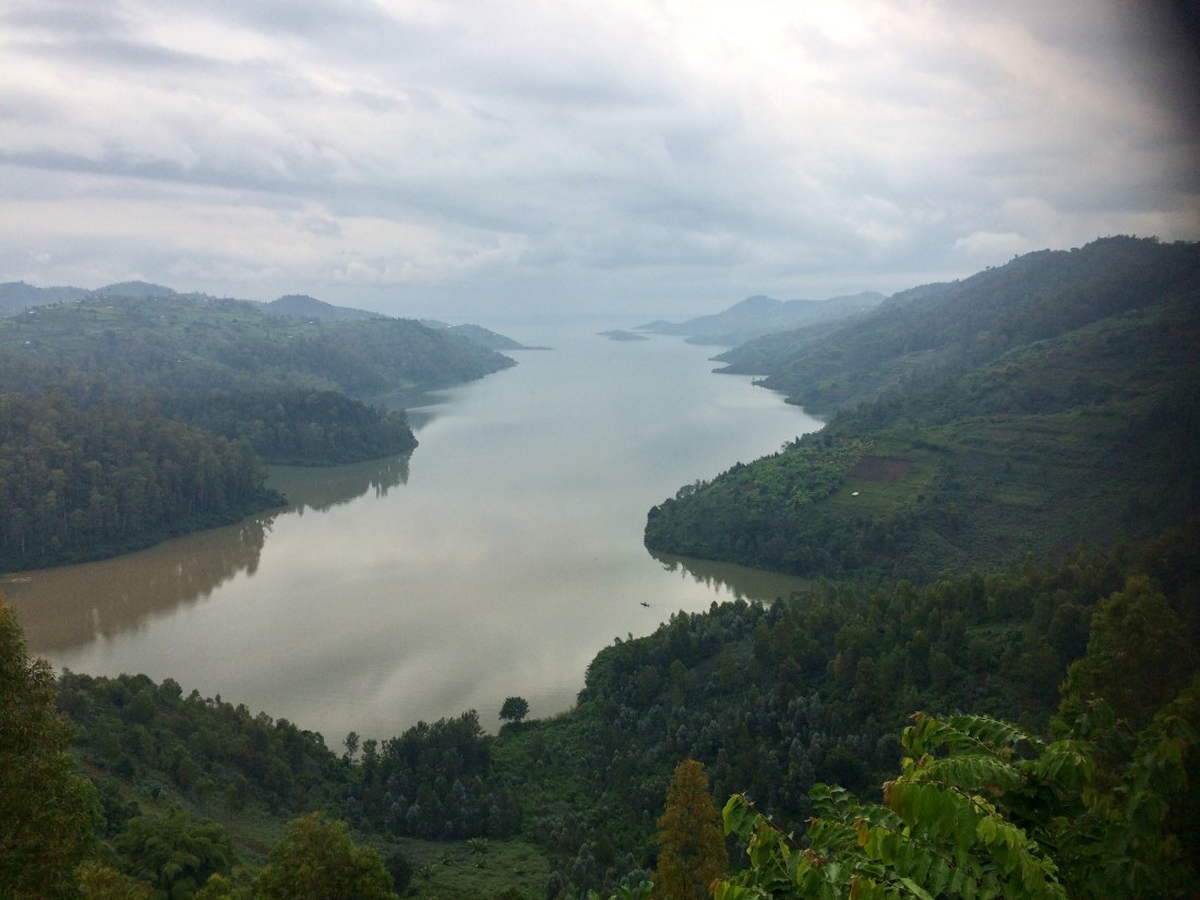 C70FFBC1-3135-4696-9B7A-8B7EA8FA79D2