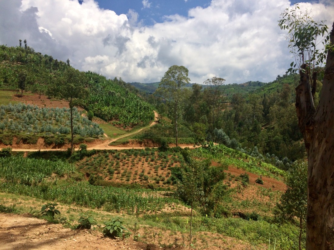 CF5D0982-A4C6-4B17-935D-B7A1632EA022