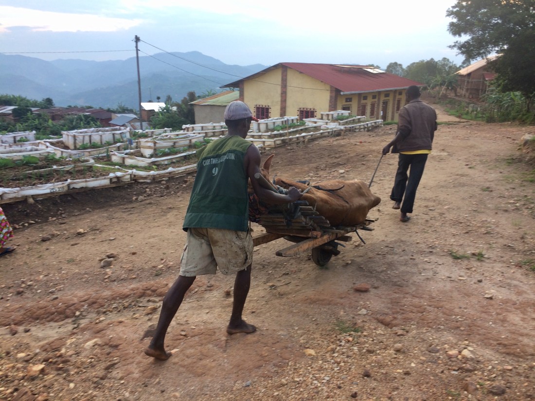 D37BEEB4-00A4-4B01-9A59-5C1036D139F1