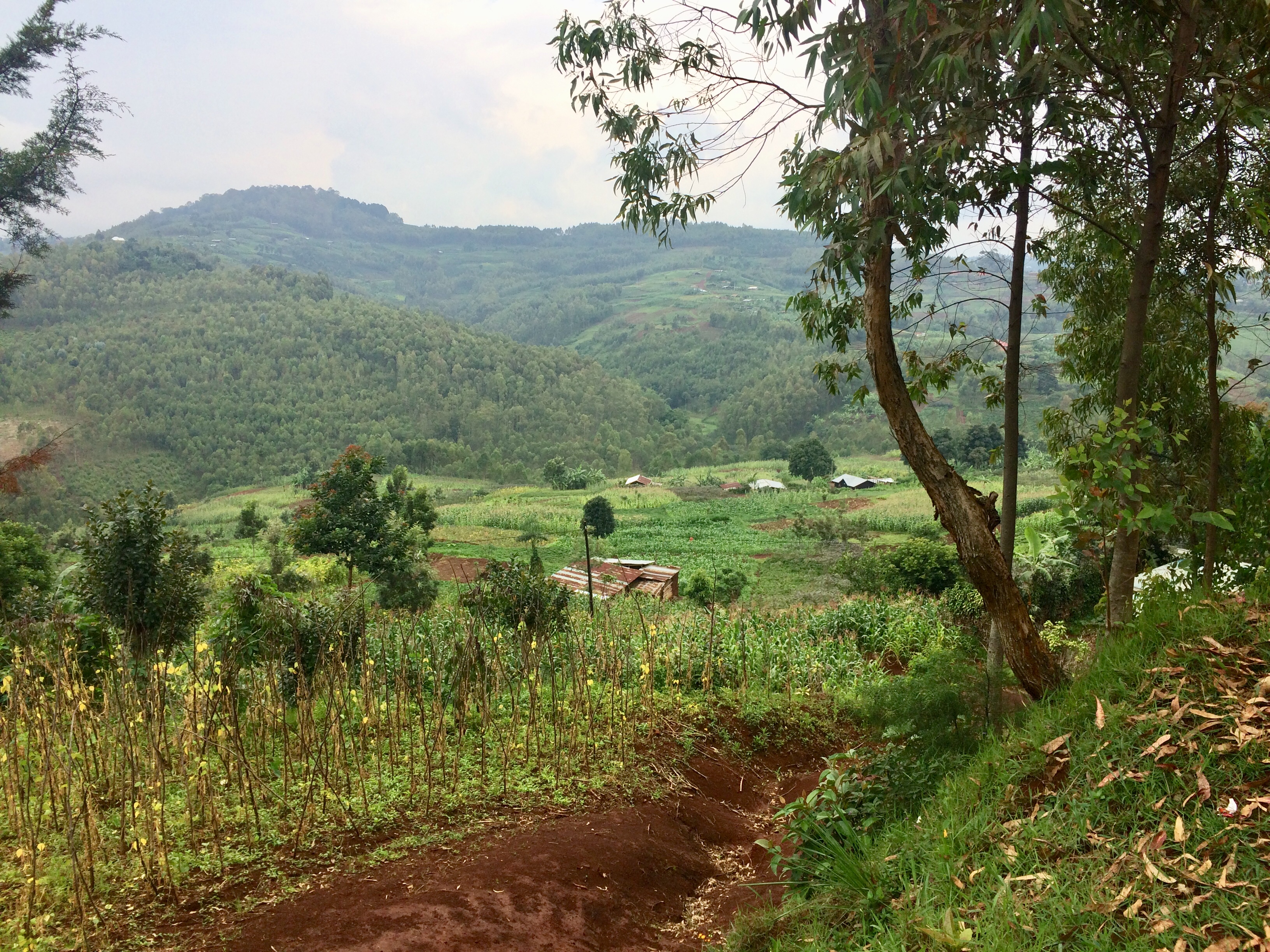 F21FDF3E-2C96-43D5-83EA-67549614F050